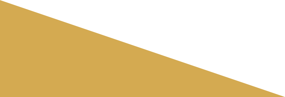 企業(yè)網(wǎng)站營(yíng)銷,手機(jī)網(wǎng)站建設(shè)，響應(yīng)式網(wǎng)站，門(mén)戶平臺(tái)型網(wǎng)站等